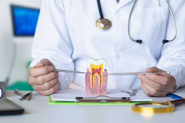Best Emergency Root Canal Treatment in Palmview, TX